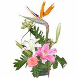 ⶫʻٵ
